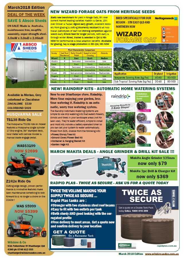 page-2-newsletter-march.jpg